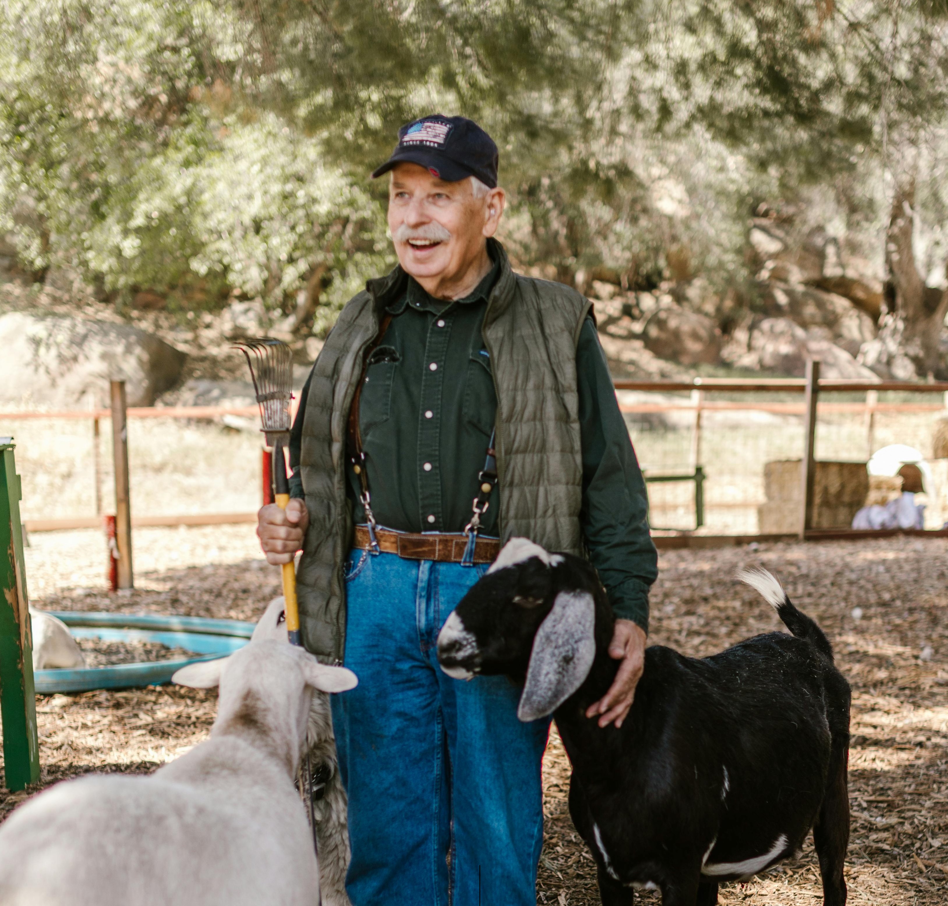 smiley old man with his two goats